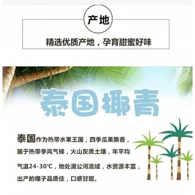 佳农泰国进口易开椰2粒量贩整箱装 约1.66kg图5