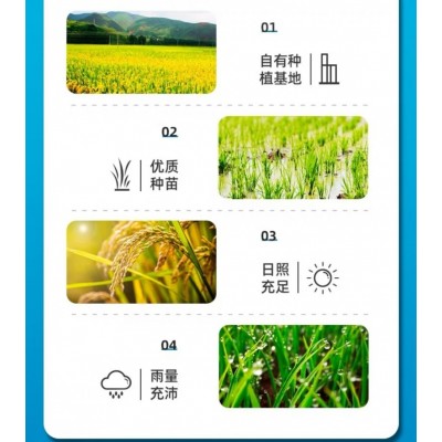 国宝桥米京山清泉稻米连续5年高端销量领先5kg/袋图5