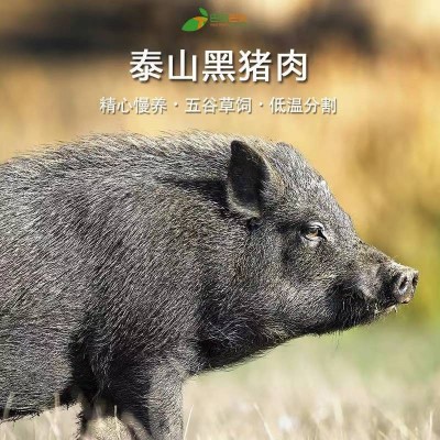 巴夫巴夫泰山黑猪肉汤骨2.5kg图4