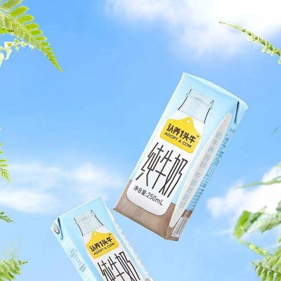 认养一牛纯牛奶250ml*12 （柳叶）图4