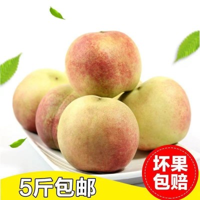 新鲜桃子雪蜜桃5斤/箱图5