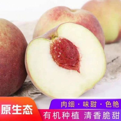 新鲜桃子雪蜜桃5斤/箱图9