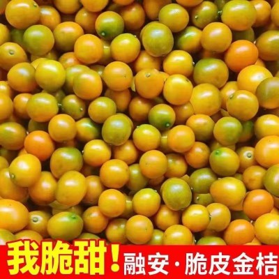 广西金桔1kg/盒装图5