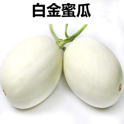 新鲜蜜瓜脆甜白金蜜瓜 约12斤6个装图4