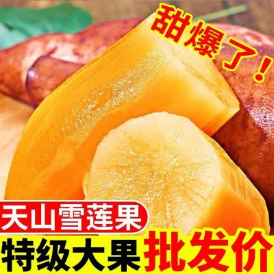 云南天山雪莲果黄鑫红肉正宗雪莲果现挖当季新鲜水果10斤/箱图2