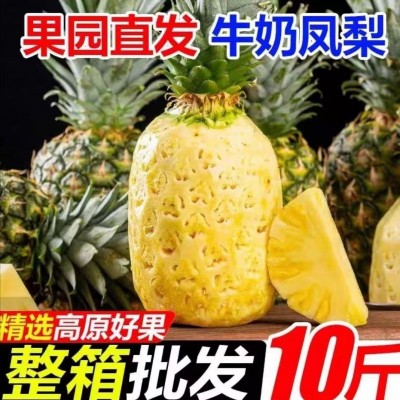 云南牛奶凤梨9-10斤/箱图3