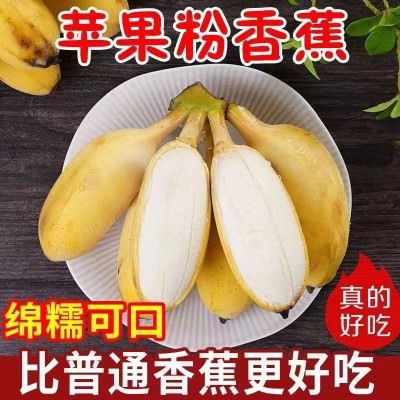 奶昔冰淇淋苹果粉香蕉   9斤/箱图4