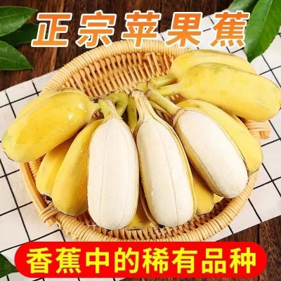 奶昔冰淇淋苹果粉香蕉   9斤/箱图3