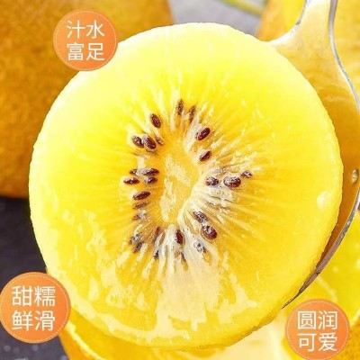 黄心猕猴桃5斤 /箱图5