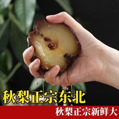 东北冻梨无渣甜口5斤/箱图5