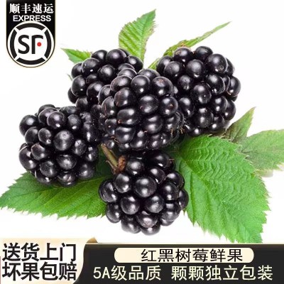 云南黑树莓大果新鲜 新鲜水果2kg/4盒图2