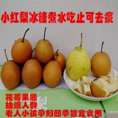 小红梨8斤 / 盒图6