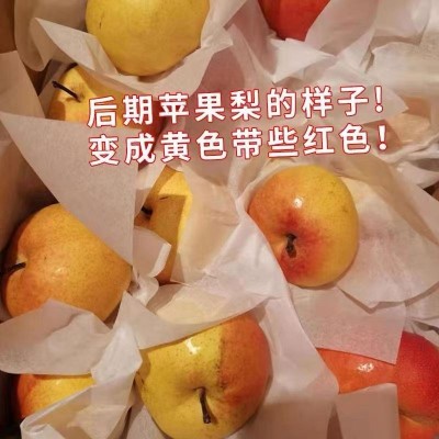 吉林延边苹果梨6斤/ 盒图7