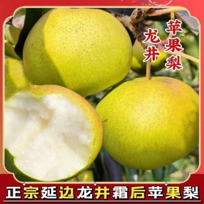 吉林延边苹果梨6斤/ 盒图5