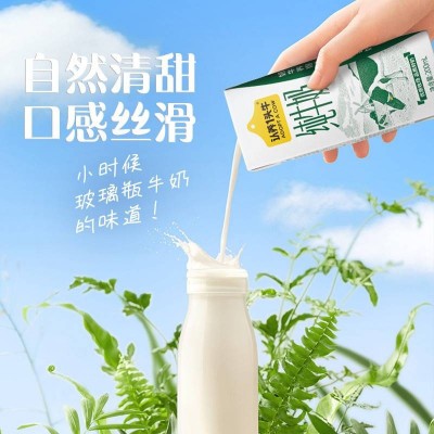 认养一头牛纯牛奶 200ml*12图4