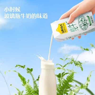 认养一头牛纯牛奶 200ml*12盒 整箱装图6