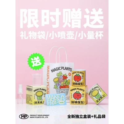 神奇植物罐头植物含羞草向日葵番茄种子室内绿植盆栽节日创意礼物图2