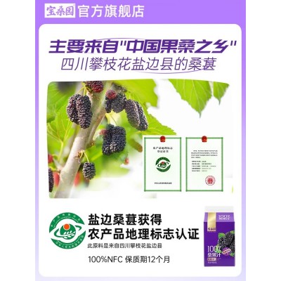 宝桑园100%桑葚汁200ml*6盒 便携装饮料 健康无添加纯果蔬汁图4