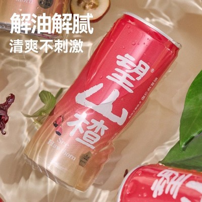 好望水果汁气泡水望山楂汁330ml*6罐果味饮料健康山楂饮品解腻图2