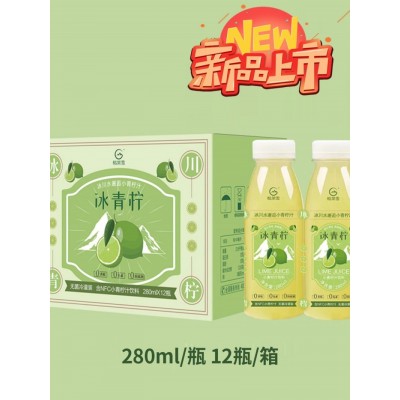 格莱雪小青柠汁饮料新鲜进口富含NFC果汁含维C网红柠檬水饮品整箱图3