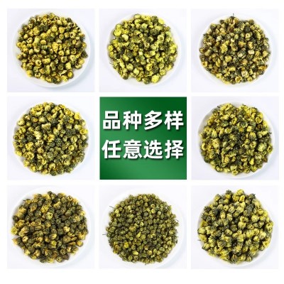 米勒选品新货散装桐乡胎菊花草茶菊花茶叶杭州白菊胎菊王产地工厂图2