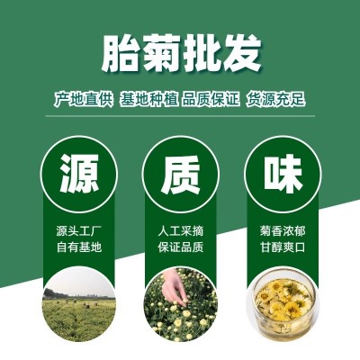 米勒选品新货散装桐乡胎菊花草茶菊花茶叶杭州白菊胎菊王产地工厂图4