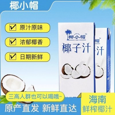 正宗海南风味椰汁饮品整箱批发植物蛋白饮料果味饮料椰奶礼盒装 1箱250ml*10图4