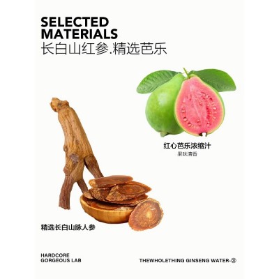 一整根人参水新品3号芭乐味饮品熬夜红参水饮料图4