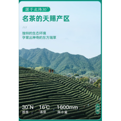 新茶上市西湖牌明前特级龙井茶叶正宗杭州绿茶春茶官方旗舰店图4