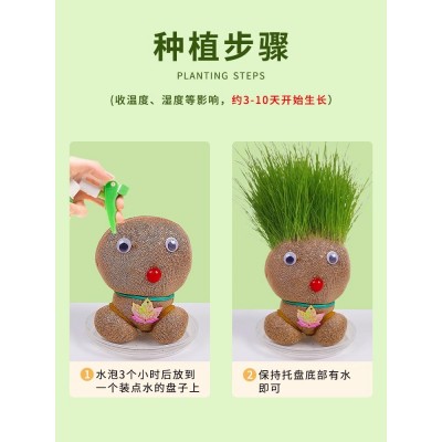 草头娃娃创意小盆栽办公室可爱植物趣味长草娃娃儿童水培绿植客厅图4