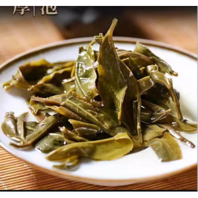 昔归普洱茶生茶云南七子饼茶临沧古树茶叶自己喝口粮茶生普茶饼图5