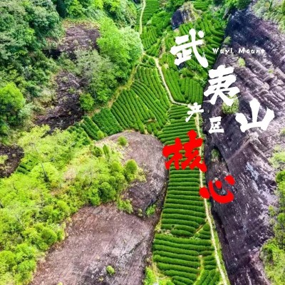 甄选珍壶春武夷山正岩甄选珍壶春武夷山正岩肉桂水仙岩茶浓香茶叶新春茶耐泡茶精美盒装浓香茶叶新春茶耐泡茶精美盒装图4