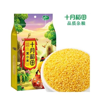 十月稻田小米1kg/袋图4