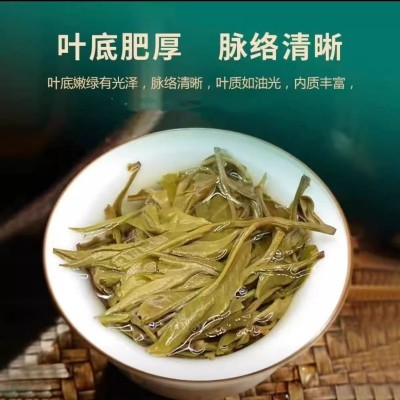 【新店福利】景迈普洱茶生茶野生茶老树纯料陈香散料48克袋装图3