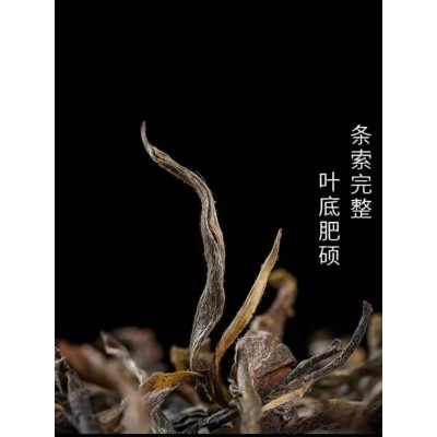 【新店福利】景迈普洱茶生茶野生茶老树纯料陈香散料48克袋装图4