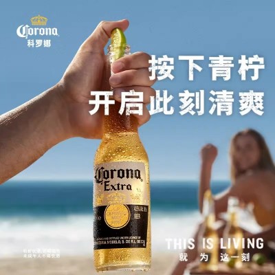 墨西哥原装进口科罗娜风味拉格黄啤瓶355mL*24装罐装啤酒整箱装聚会装图3