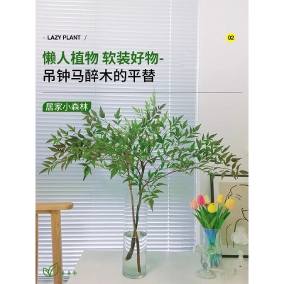 南天竹水培绿植火焰红水养盆栽室内花卉鲜切枝吊钟马醉木平替植物图2