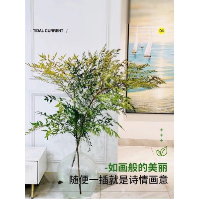 南天竹水培绿植火焰红水养盆栽室内花卉鲜切枝吊钟马醉木平替植物图4