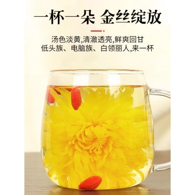 金丝皇菊菊花茶叶胎菊火去清解特热毒级干一朵一杯贡菊火养生茶清图3