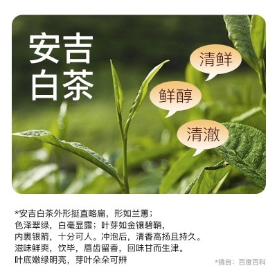 【百变养生局】花一杯清润白茶玖味茶白茶冷泡茶包9口味茶包0糖图2