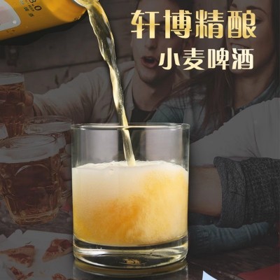 轩博精酿啤酒德系工艺啤酒整箱易拉罐330ml*24听白啤熟啤罐装扎啤图2