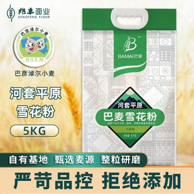 巴麦河套平原雪花粉精选优质河套硬质红小麦精细研磨5kg图2