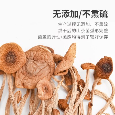 清溪村山茶菇250g礼盒装图6