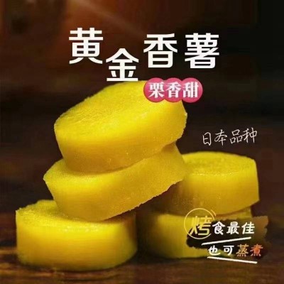 小汤山甜心香薯2.5kg图3