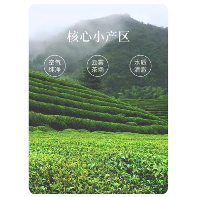 【顺丰】林恩红茶新茶传承正宗浓香型高山红茶礼罐装88g图5