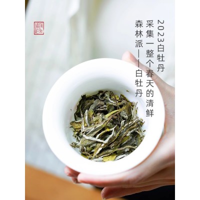 如初福鼎白茶白牡丹小饼茶紧压茶饼100g高山茶叶优质原料图3