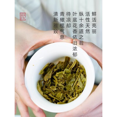 如初福鼎白茶白牡丹小饼茶紧压茶饼100g高山茶叶优质原料图5