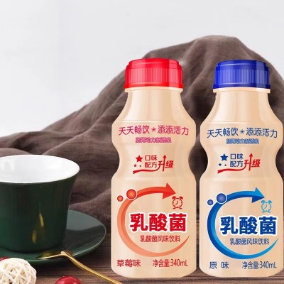 新日期乳酸菌饮品整箱340ml*12瓶早餐酸牛奶益生元风味饮料图2