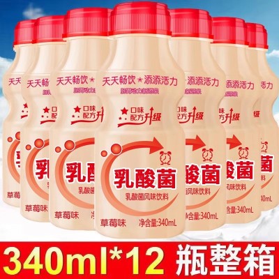 新日期乳酸菌饮品整箱340ml*12瓶早餐酸牛奶益生元风味饮料图3