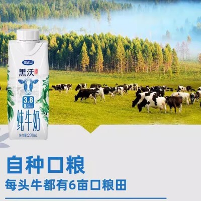 完达山黑沃梦幻盖3.8纯牛奶 250ml*10盒 整箱装图4